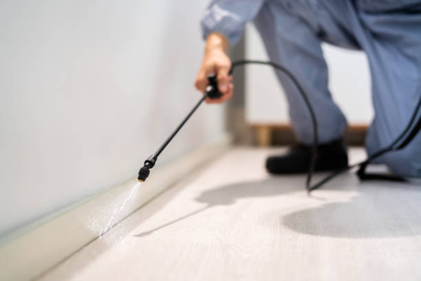 Licensed Pest Control service in El Granada, CA - Show Me Pest Control