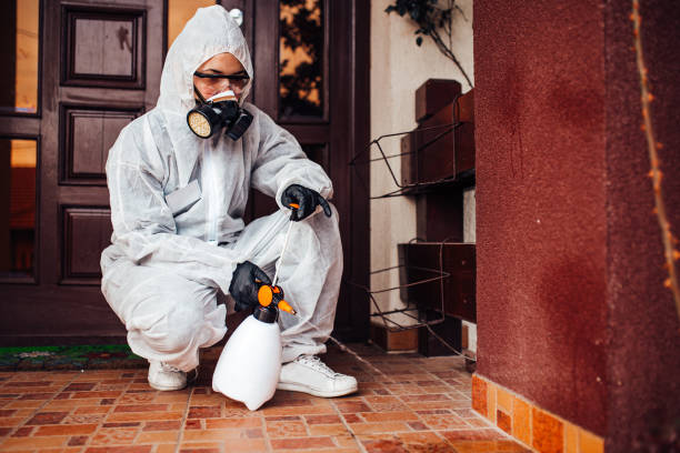 Attic and Crawl Space Rodent Treatment in El Granada